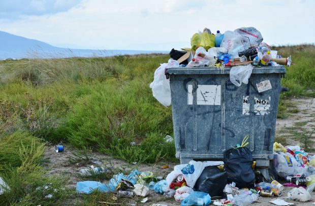 Mesele yalnızca plastik poşet değil