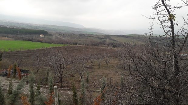 Buğday ve Dört Mevsim Derneği’nden yeni proje: Güdül’de Gıda Toplulukları ile Agroekolojik Dönüşüm