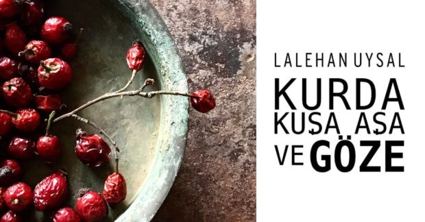 Tasarımcı Lalehan Uysal’ın gözünden tohumlar: Kurda, Kuşa, Aşa ve Göze…